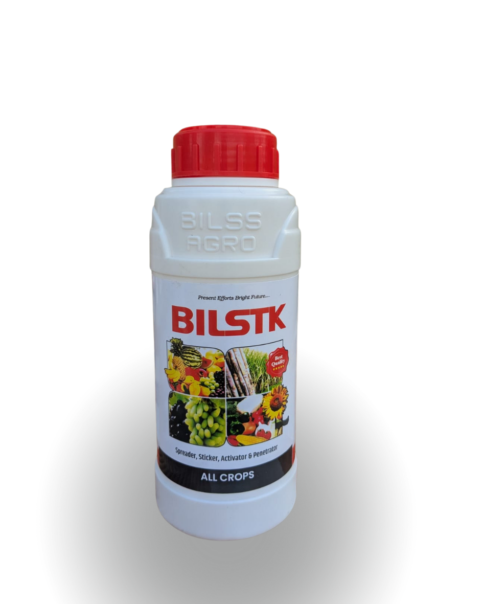 Bilstk